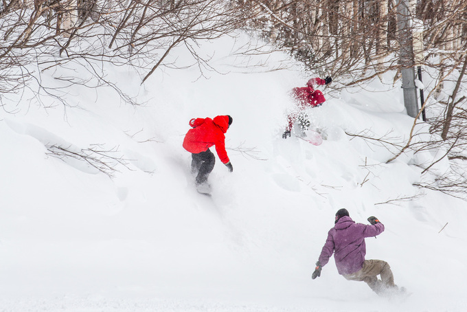  FISH TIPS Spring Session FISH TIPS 