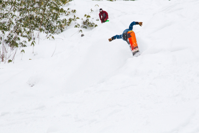  FISH TIPS Spring Session FISH TIPS 